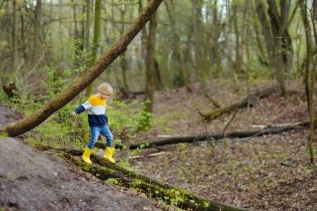 Acton Academy St. George - young boy exploring his independence in the forest.